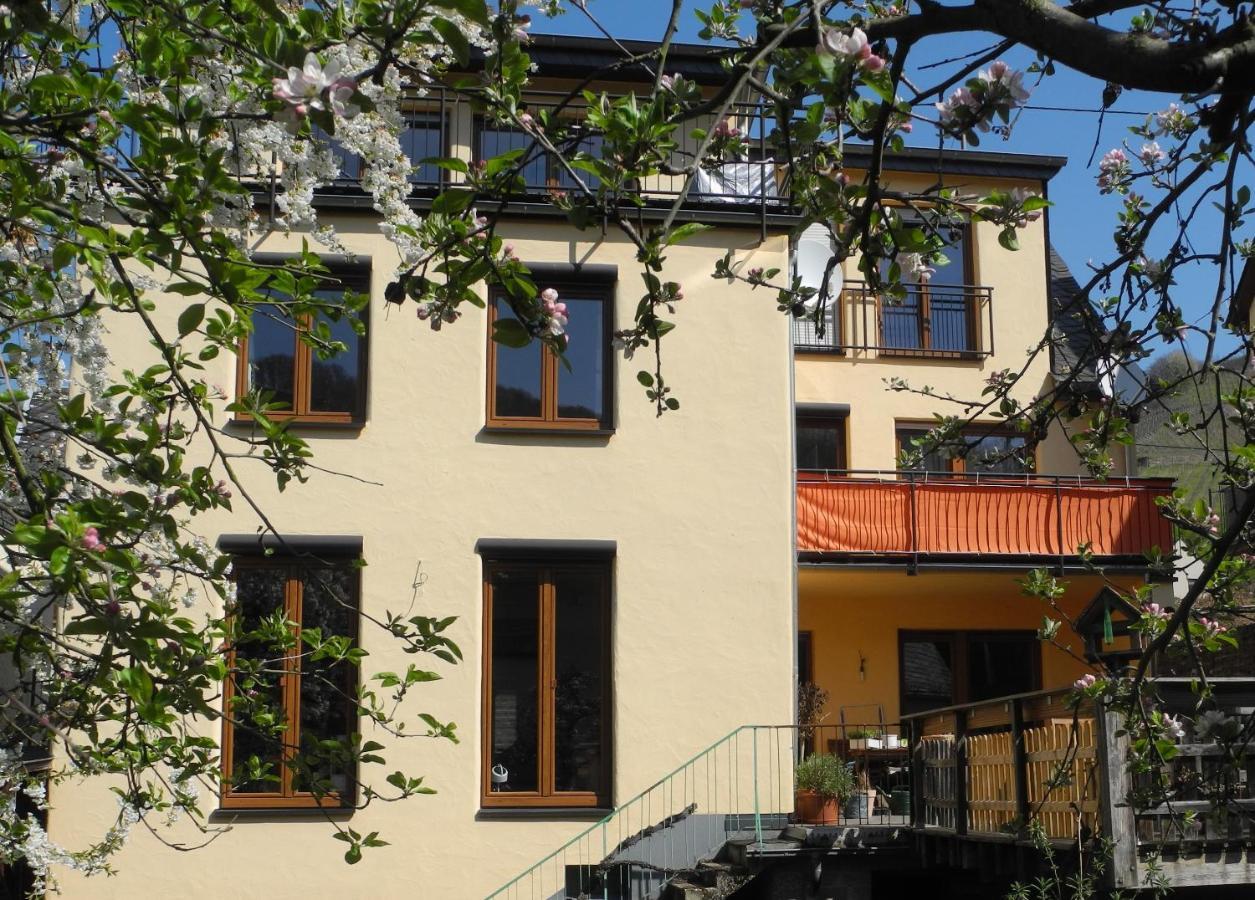 Ferienwohnung Ellebett Müden Dış mekan fotoğraf